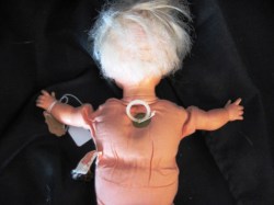 TODDLER THUMB MAIN_08